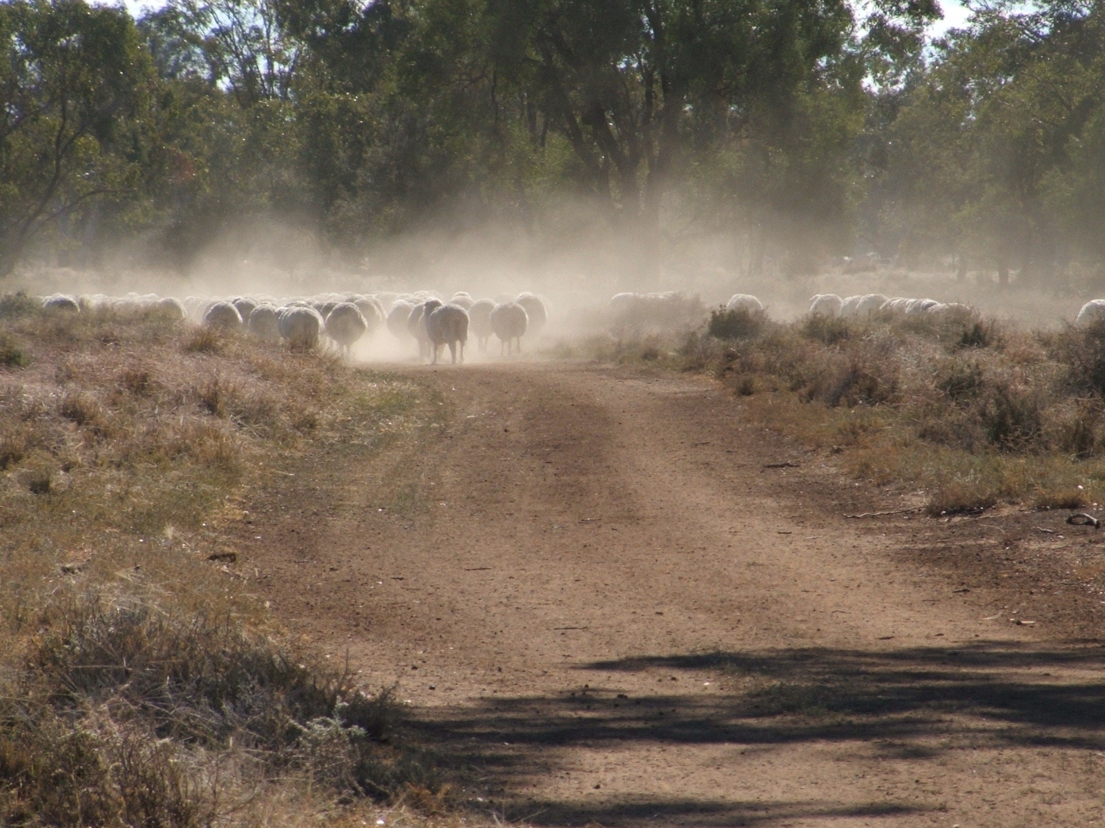 Is this the worst drought of them all?