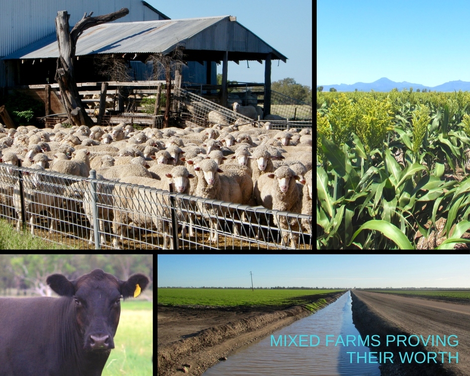 mixed-farms-proving-their-worth